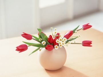 有限会社大平不動産