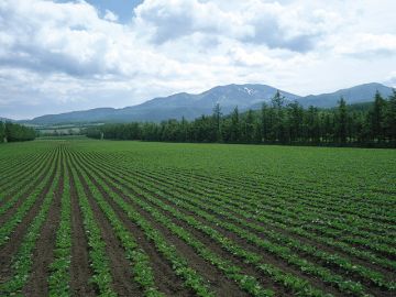 株式会社桃山住宅／本社